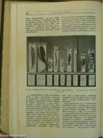 Természettudományi Közlöny 1937. január-december/Pótfüzetek a Természettudományi Közlönyhöz 1937. január-december