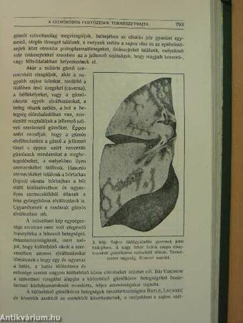 Természettudományi Közlöny 1917. január-december/Pótfüzetek a Természettudományi Közlönyhöz 1917. január-december