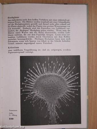 Kleinbild-Jagd auf Dinge und Menschen