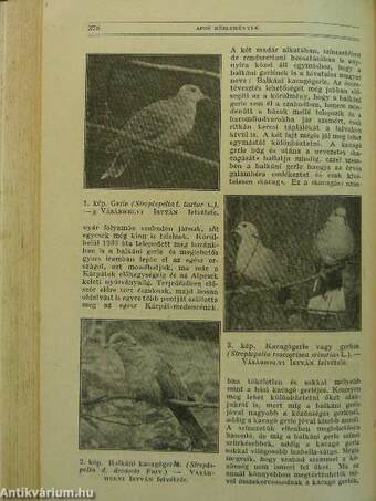 Természettudományi Közlöny 1942. január-december/Pótfüzetek a Természettudományi Közlönyhöz 1942. január-december