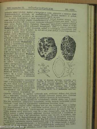 Növényvédelem 1926. január-december