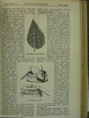 Növényvédelem 1927. január-december/Kertészet 1927. (nem teljes évfolyam)