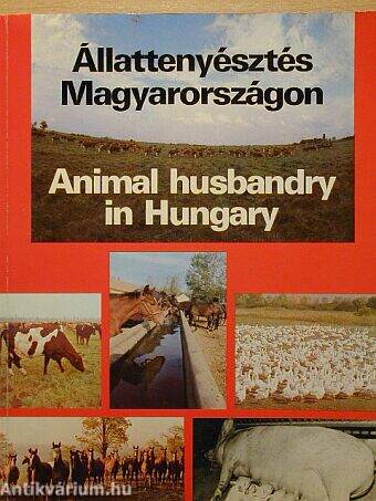 Állattenyésztés Magyarországon