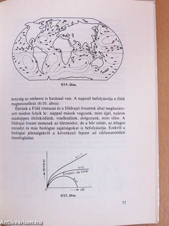 Bevezetés a ciklusszemléletbe