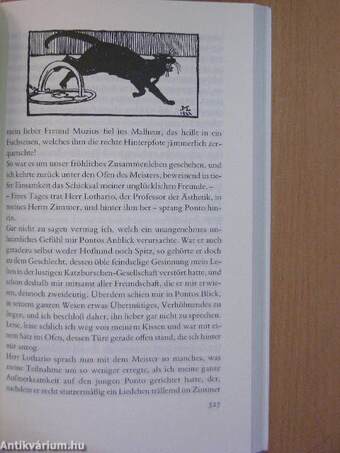 Lebensanschten des Katers Murr nebst fragmentarischer Biographie des Kapellmeisters Johannes Kreisler in zufälligen Makulaturblättern