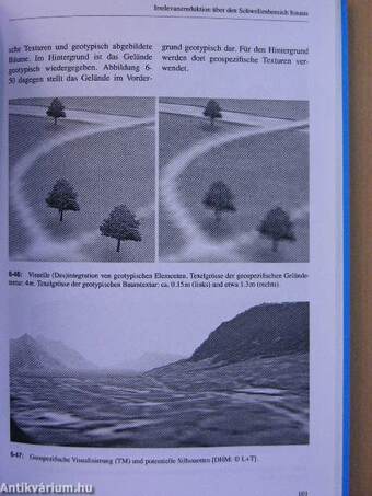 Aspekte der interaktiven real-time 3D-Landschaftsvisualisierung