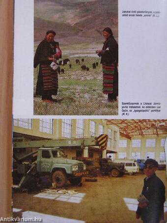 Tibeti reinkarnációk