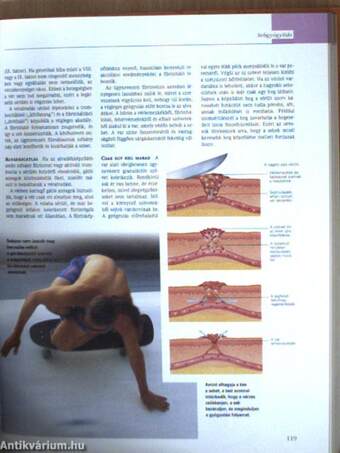 A csodálatos emberi test