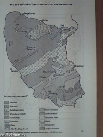 Die Verbreitung von Waldschäden in Fichtenforsten des Westharzes - Eine geographische Analyse