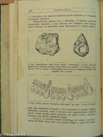 Természettudományi Közlöny 1912. január-december/Pótfüzetek a Természettudományi Közlönyhöz 1912. január-december