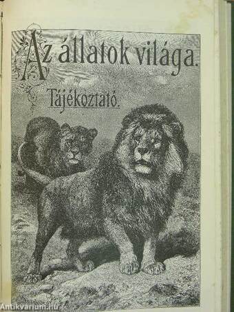 Természettudományi Közlöny 1900. január-december