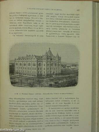 Természettudományi Közlöny 1900. január-december