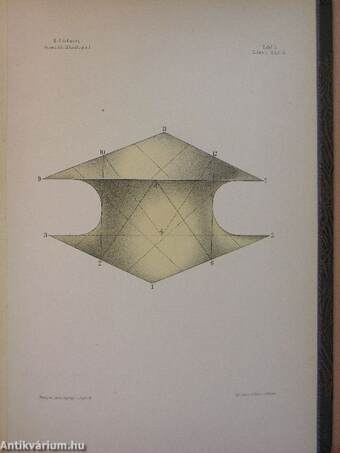 Gesammelte Mathematische Abhandlungen I-II.