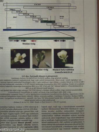 Mezőgazdasági Biotechnológia