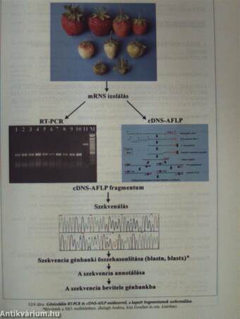 Mezőgazdasági Biotechnológia