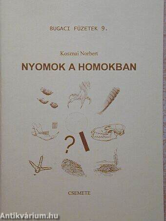 Nyomok a homokban