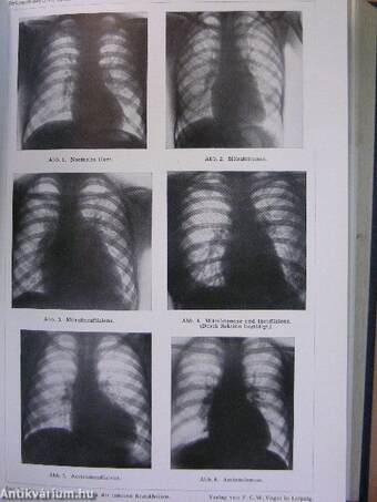 Lehrbuch der Speziellen Pathologie und Therapie der inneren Krankheiten I-II.