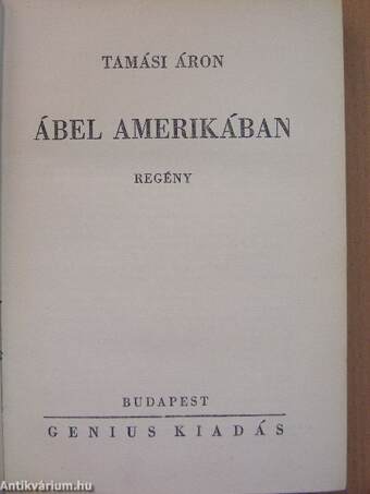 Ábel Amerikában