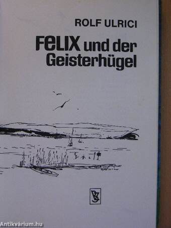 Felix und der Geisterhügel