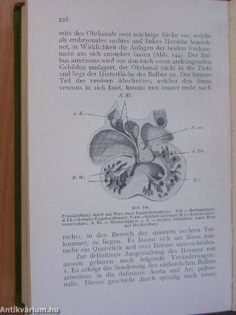 Atlas und Grundriss der Embryologie der Wirbeltiere und des Menschen