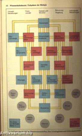 Taschenbuch der Biologie I-II.