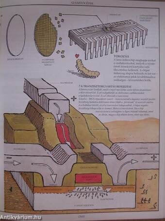 Hogy is működik?