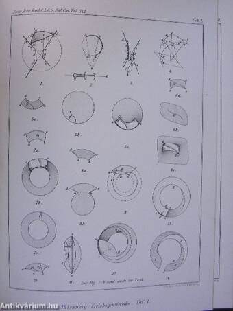 Über die geometrischen Eigenschaften der Kreisbogenvierecke