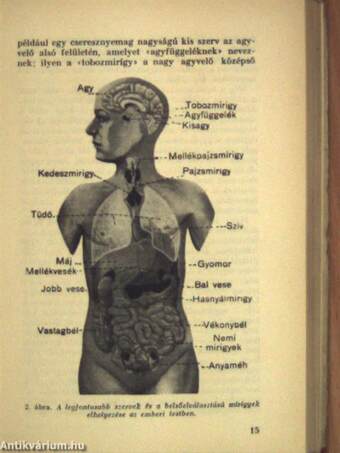 A sorsdöntő hormonok