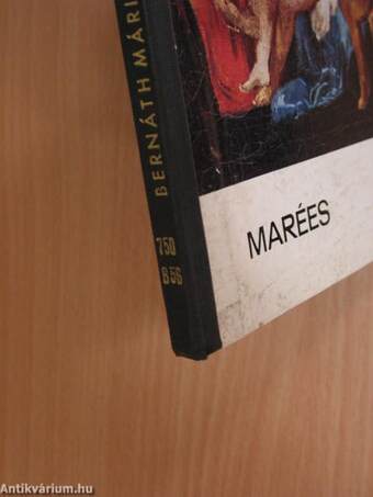 Marées