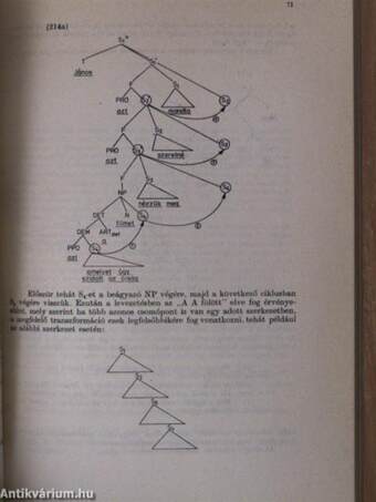 A magyar mondatszerkezet generatív leírása