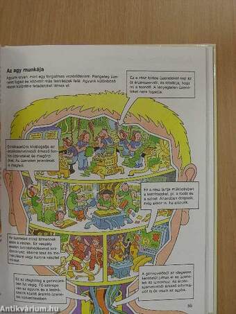 Park-Usborne enciklopédia gyermekeknek