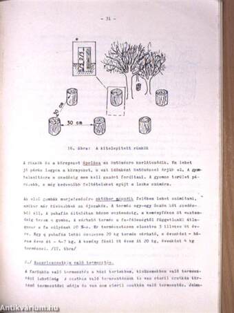 Gombatermesztés a mezőgazdasági szakmunkásképző iskolák számára