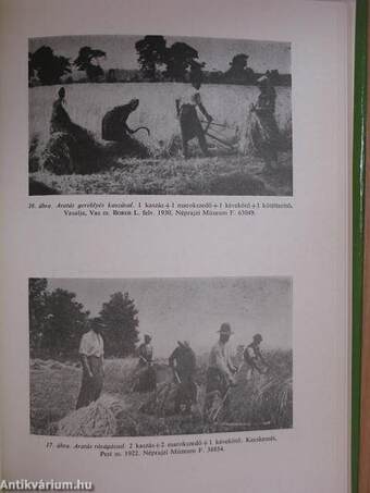 Az aratómunkások Magyarországon 1848-1944