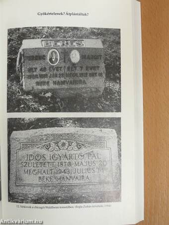 A chicagói magyarok két nemzedéke 1890-1940