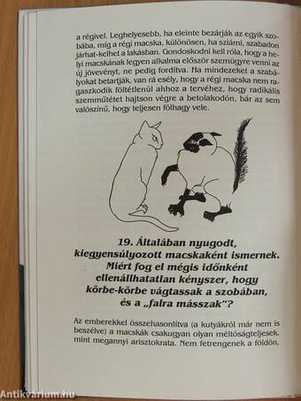 101 kérdés, amit a cicája megkérdezne a dokitól, ha beszélni tudna