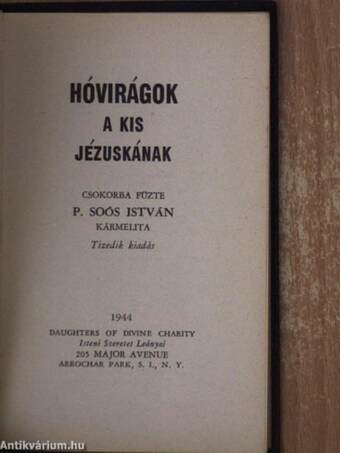 Hóvirágok a Kis Jézuskának