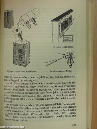 Mit, hogyan, miért a méhészetben?