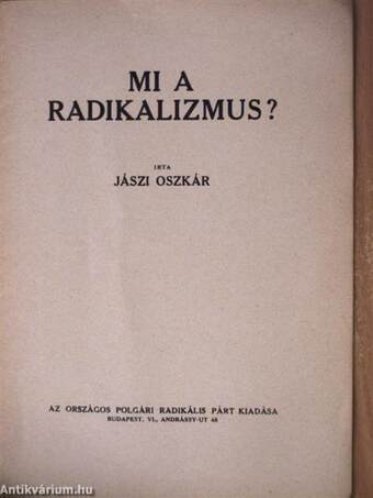 Mi a radikalizmus?