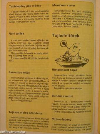 Fakanál - 101 tojásrecept