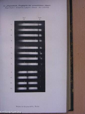 Hoppe-Seyler's Zeitschrift für Physiologische chemie CXXVIII/1-6.