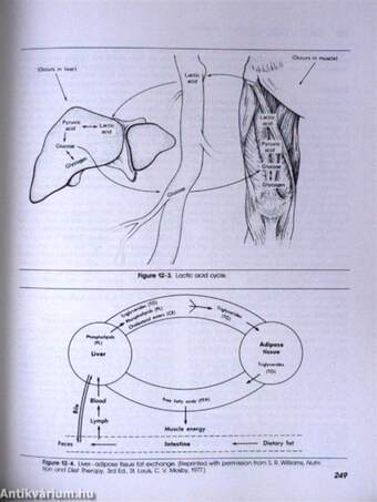 Nutrition in Contemporary Nursing Practice