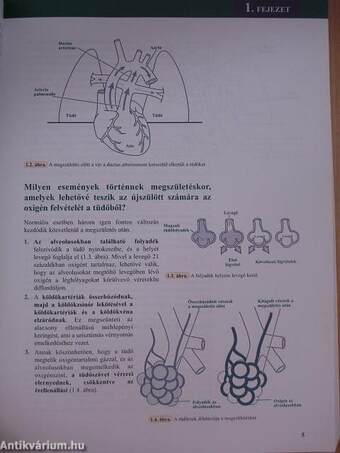 Az újszülöttek újraélesztése