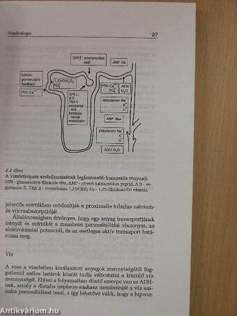 Nephrologia