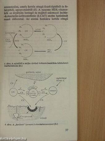 Atherosclerosis