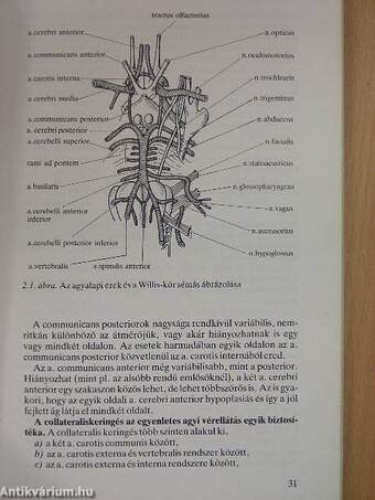 Stroke ellátás