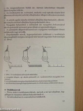 Szédüléssel járó kórképek