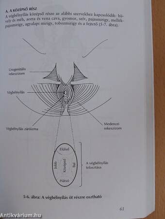 Gyógyító Szerelem