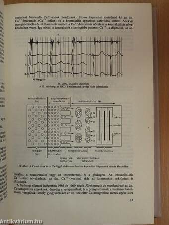 Elektrokardiológia az orvosi gyakorlatban