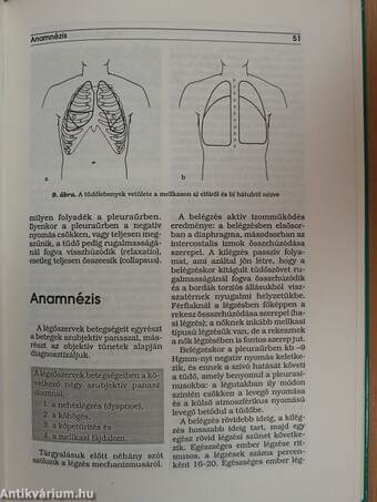 Belgyógyászati fizikális diagnosztika