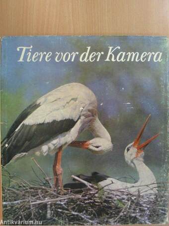 Tiere vor der Kamera